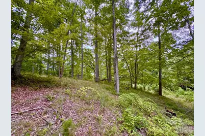 120 Ben Lippen School Road, Asheville, NC 28806 - Photo 6