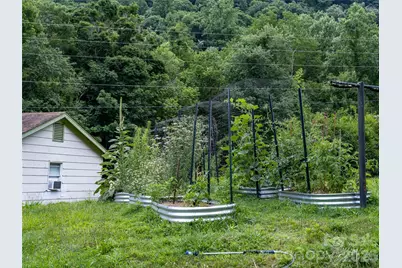 50 Rocky Branch Road, Waynesville, NC 28786 - Photo 44
