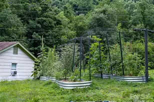 50 Rocky Branch Rd, Waynesville, NC 28786 - Photo 44