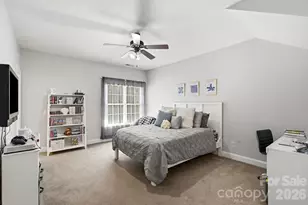 832 Savile Ln, Fort Mill, SC 29715 - Photo 30