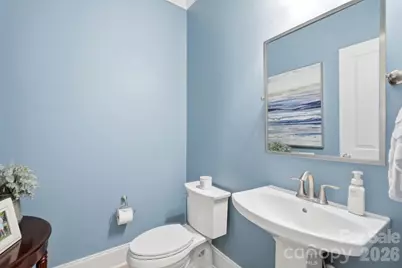 832 Savile Lane, Fort Mill, SC 29715 - Photo 26