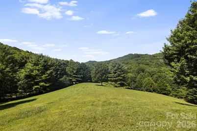 299 Basswood Road, Hot Springs, NC 28743 - Photo 38