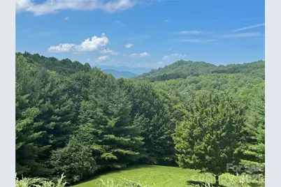 299 Basswood Road, Hot Springs, NC 28743 - Photo 2