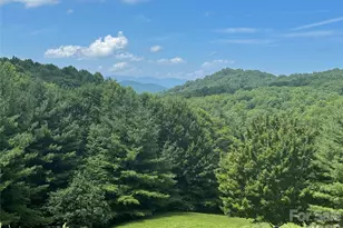 299 Basswood Rd, Hot Springs, NC 28743 - Photo 2