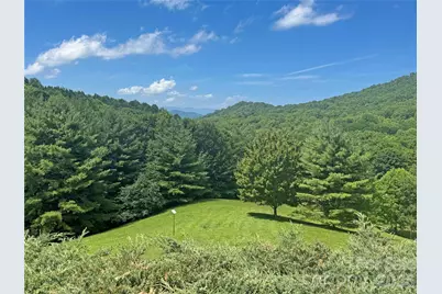 299 Basswood Road, Hot Springs, NC 28743 - Photo 6