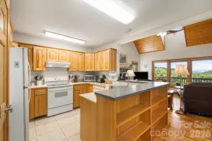 299 Basswood Rd, Hot Springs, NC 28743 - Photo 12