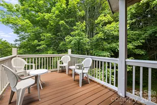 299 Basswood Rd, Hot Springs, NC 28743 - Photo 22