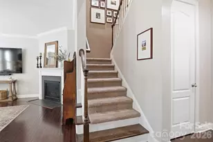 742 Pela Vista Ct, Fort Mill, SC 29715 - Photo 24