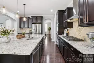 742 Pela Vista Ct, Fort Mill, SC 29715 - Photo 12