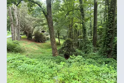 1359 Lamb Mountain Road, Hendersonville, NC 28792 - Photo 2
