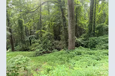 1359 Lamb Mountain Road, Hendersonville, NC 28792 - Photo 4