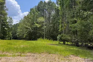 226 Washington St, Great Falls, SC 29055 - Photo 6