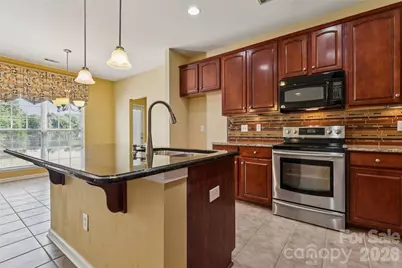 9509 Gilead Grove Road, Huntersville, NC 28078 - Photo 16