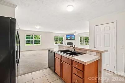 119 E Meadow Lane, Horse Shoe, NC 28742 - Photo 14