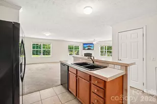 119 E Meadow Ln, Horse Shoe, NC 28742 - Photo 14