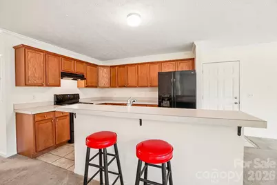 119 E Meadow Lane, Horse Shoe, NC 28742 - Photo 12