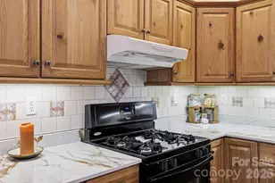 81 Chestnut Ln, Hendersonville, NC 28792 - Photo 22