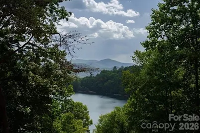 317 Von Trapp Lane, Tuckasegee, NC 28783 - Photo 4