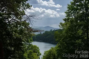 317 Von Trapp Ln, Tuckasegee, NC 28783 - Photo 4