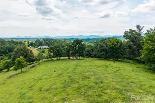 737 Tillery Br Rd, Marshall, NC 28753 - Photo 4