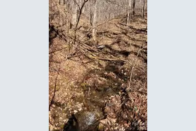 1873 Unahala Creek Road, Bryson City, NC 28713 - Photo 2