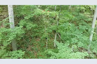 1873 Unahala Creek Road, Bryson City, NC 28713 - Photo 10