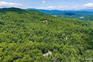 49 Indian Ridge Trail, Hendersonville, NC 28739 - Photo 40