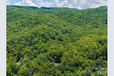 49 Indian Ridge Trail, Hendersonville, NC 28739 - Photo 38