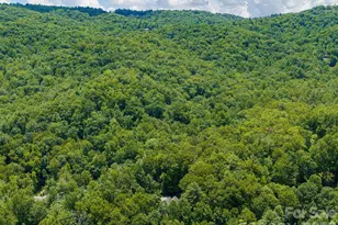 49 Indian Ridge Trail, Hendersonville, NC 28739 - Photo 38