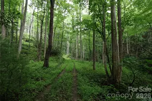 Tbd Blowing Rock Rd, Lenoir, NC 28645 - Photo 1