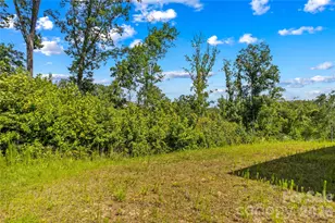 167 Hazelnut Wy, Statesville, NC 28625 - Photo 36