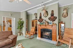 98 Cardinal Ln, Burnsville, NC 28714 - Photo 6