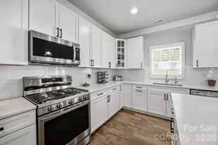 229 Elysian Dr, Mooresville, NC 28117 - Photo 16