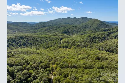 26 Burnt Ridge Trail, Black Mountain, NC 28711 - Photo 44