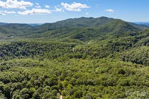 26 Burnt Ridge Trail, Black Mountain, NC 28711 - Photo 44