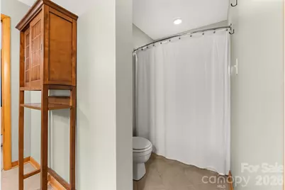 26 Burnt Ridge Trail, Black Mountain, NC 28711 - Photo 22