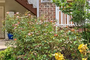 1923 Hamorton Pl, Charlotte, NC 28205 - Photo 6