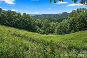 244 Flat Springs Rd, Elk Park, NC 28622 - Photo 18