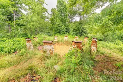 8485 Meadow Fork Road, Hot Springs, NC 28743 - Photo 24