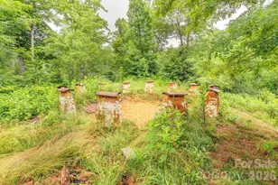 8485 Meadow Fork Rd, Hot Springs, NC 28743 - Photo 24
