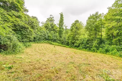 8485 Meadow Fork Road, Hot Springs, NC 28743 - Photo 28