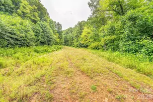 8485 Meadow Fork Rd, Hot Springs, NC 28743 - Photo 34