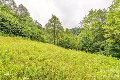 8485 Meadow Fork Road, Hot Springs, NC 28743 - Photo 36