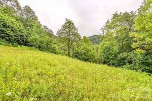 8485 Meadow Fork Rd, Hot Springs, NC 28743 - Photo 36