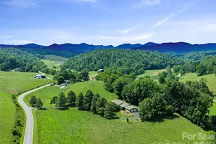 1617 California Creek Rd, Mars Hill, NC 28754 - Photo 44