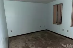 317 Low Bridge Rd, Forest City, NC 28043 - Photo 14