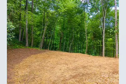 264 Westridge Road, Sylva, NC 28779 - Photo 26