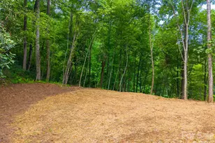 264 Westridge Rd, Sylva, NC 28779 - Photo 26