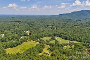 4551 Lake Adger Pkwy, Mill Spring, NC 28756 - Photo 38