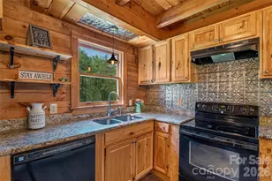 4551 Lake Adger Pkwy, Mill Spring, NC 28756 - Photo 12